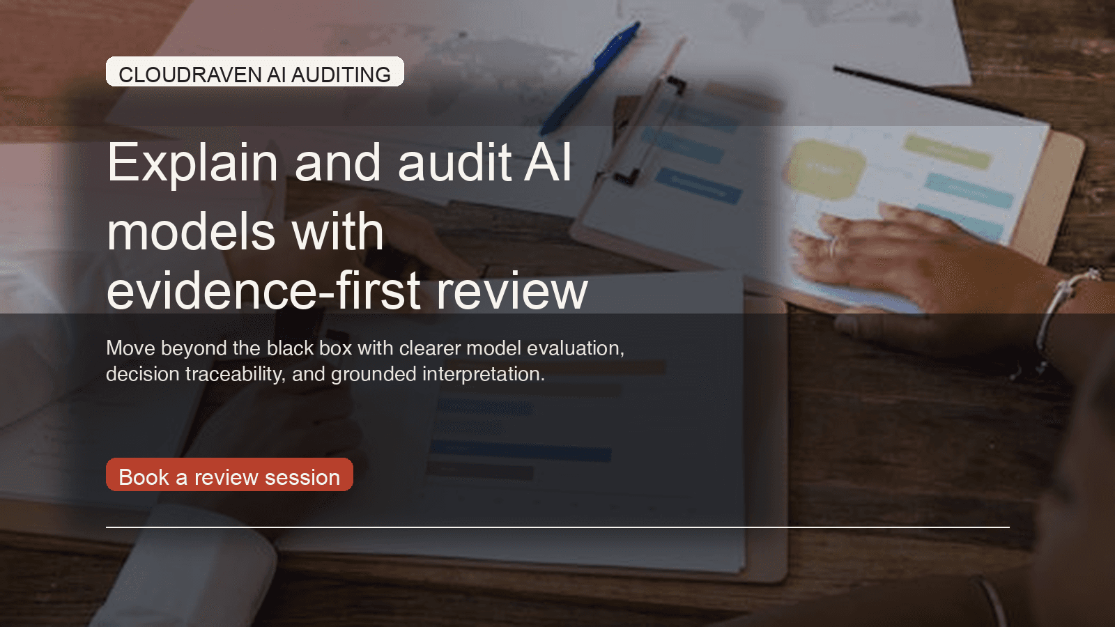 Beyond The Black Box: Explaining and Auditing AI Models for Better Insights